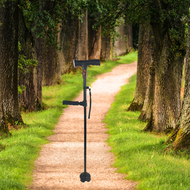FlexiLum Alarm Cane