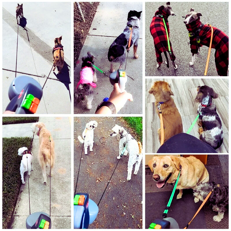 DualFlex Leash Pro