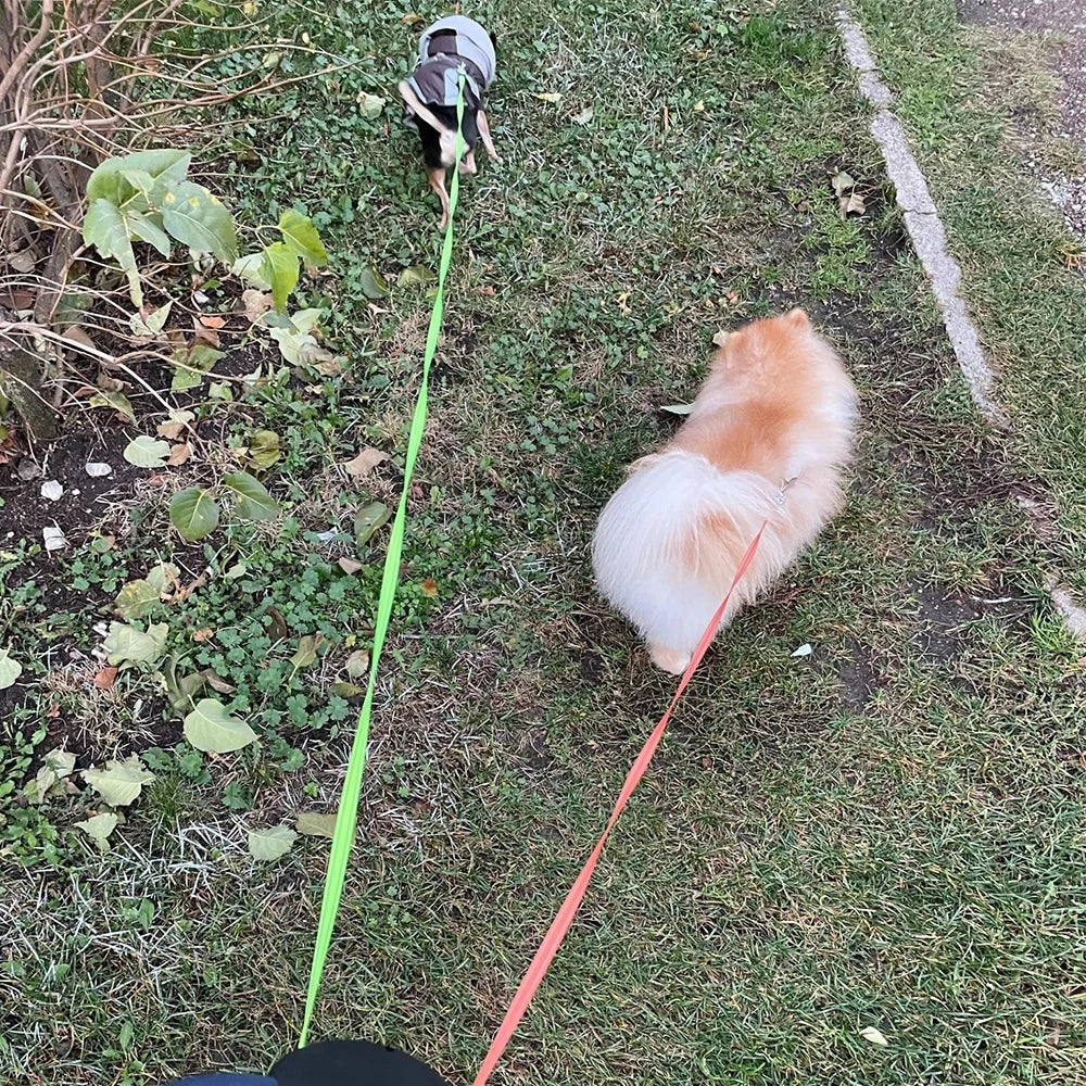 DualFlex Leash Pro