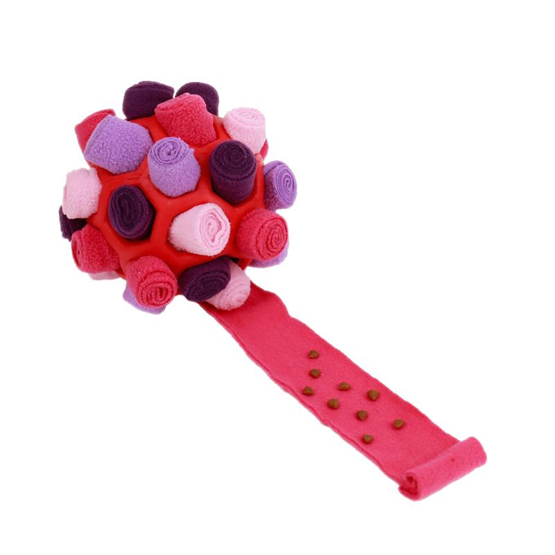 Dog Toy