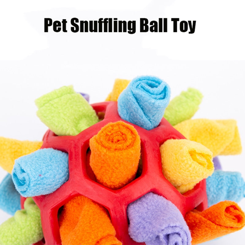 Dog Toy