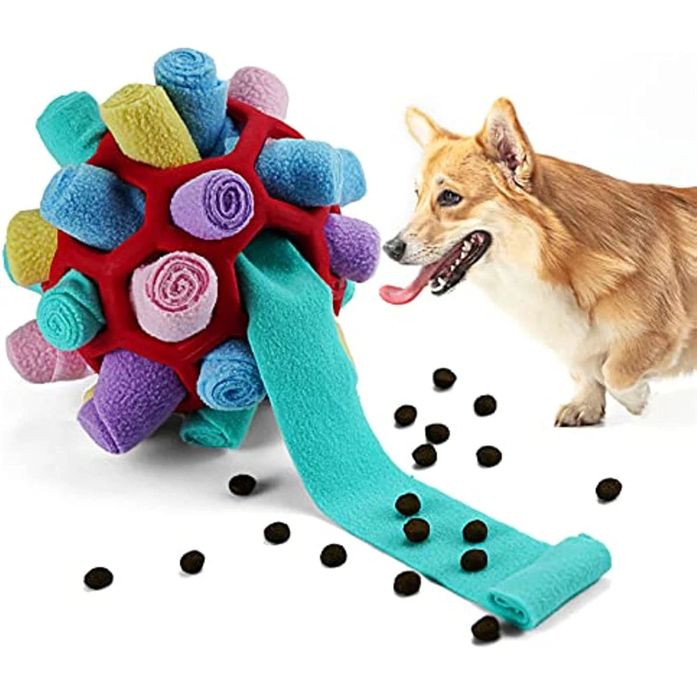 Dog Toy